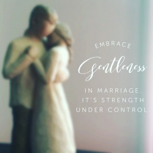 Gentleness in Marriage is strength under control