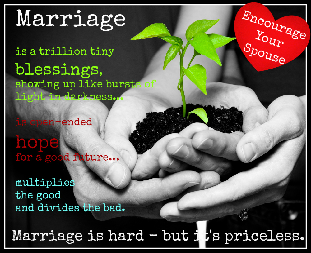 Marriage is Priceless 2