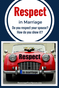 Respect in Marriage Pin
