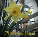 Plant some Hope - 5 Autumn Dates to Stay Connected to your spouse