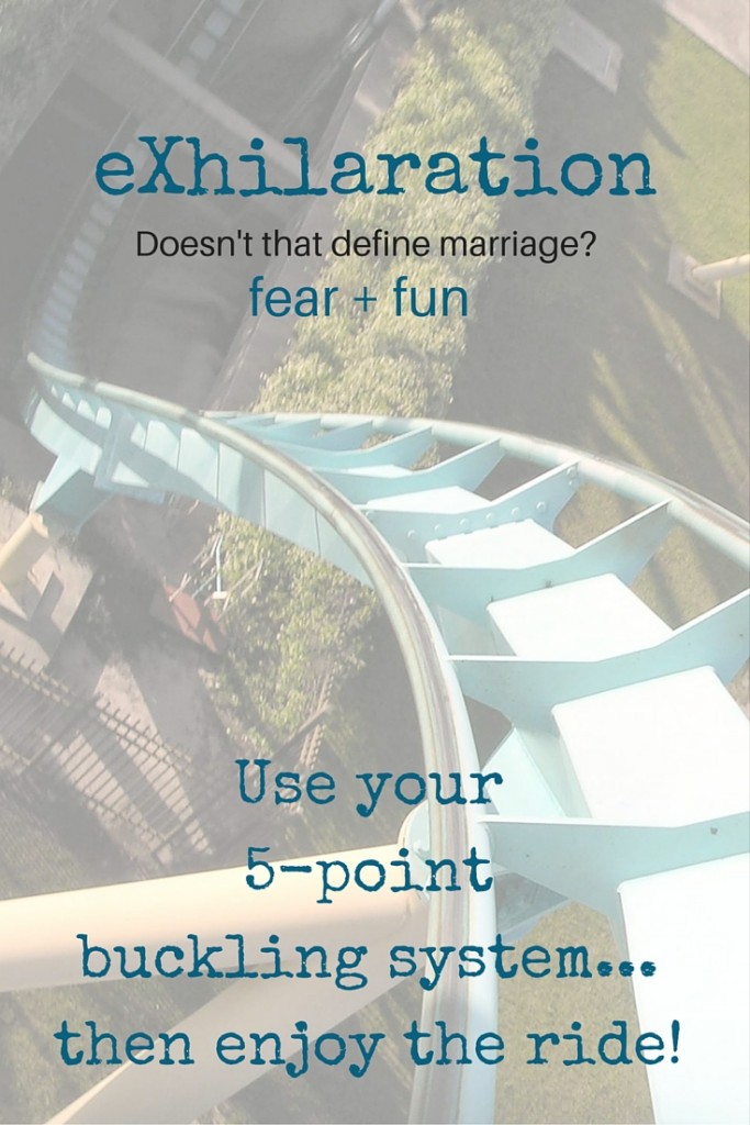 eXhilaration - doesn't that define marriage - use your 5-point buckling system and enjoy the ride