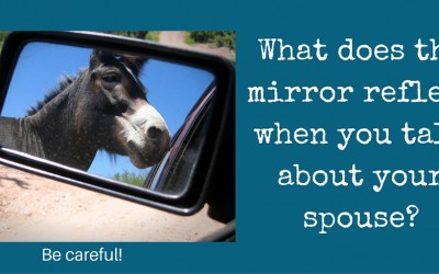What does the mirror reflect?